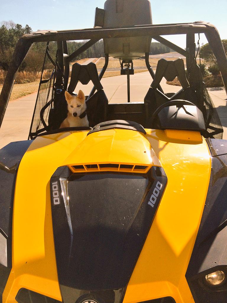 DallasStenhouse's tweet photo. Headed to feed the deer with dad in moms @CanAm commander http://t.co/cYrrAL5qkH