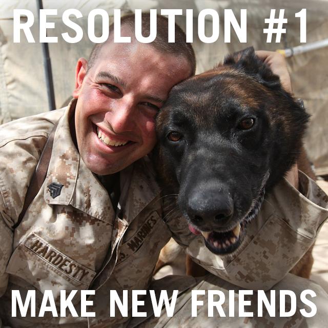 USMarineCorps's tweet photo. After 6 weeks of training, Marine combat dog handlers &amp; their working dogs have a bond like no other #ResolutionsKept http://t.co/RhZ11LmRVl