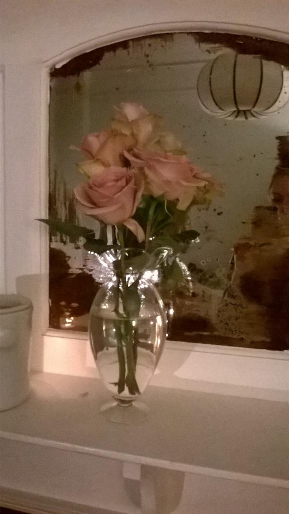 Katiemacabee's tweet image. I've nicknamed these #Roses. CORPSE Rose. They are the most beautiful thing I have ever seen... #hauntinglybeautiful