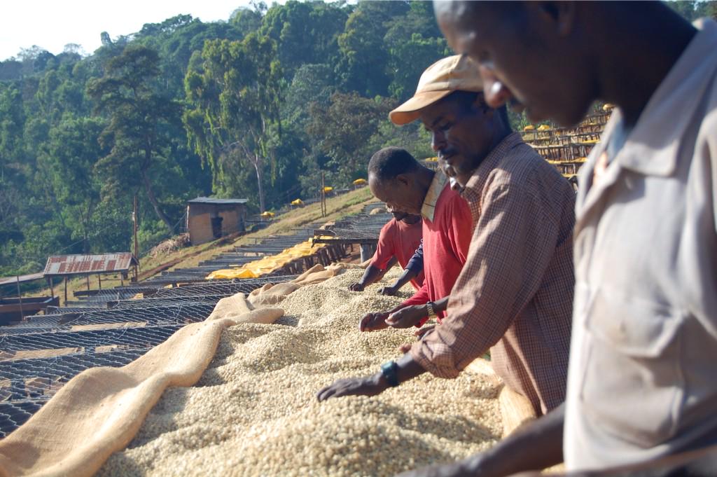 #SCAA2015 Lecture: The Situation Of Farmworkers In Coffee- Challenges &amp; Opps. For The Industry scaaevent.org/lectures