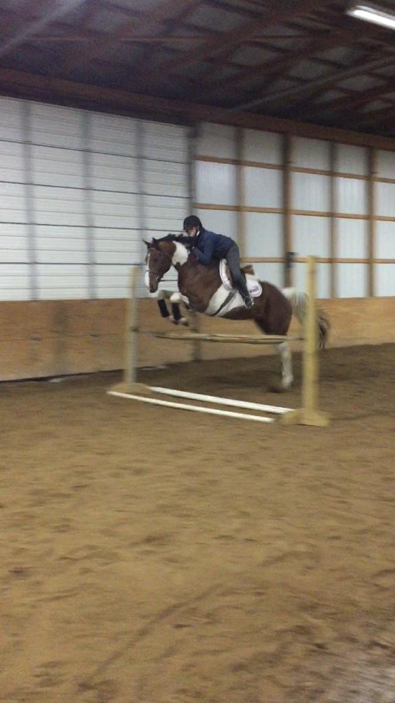 WannabeEq's tweet photo. 3'3 last night in my lesson ☺️ #ridingslip http://t.co/rO8b9JgPZC