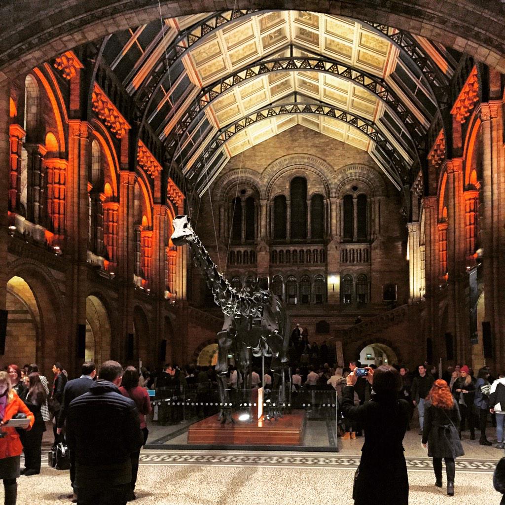 diegomunozcol's tweet photo. ... And here I am! @NHM_London http://t.co/Dn3s17praD