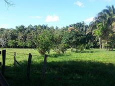 Cobsaltda's tweet image. facebook.com/ajax/sharer/?s…