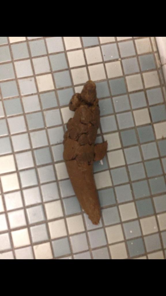 WhereIsTheBluee's tweet image. #CHSchildish ?