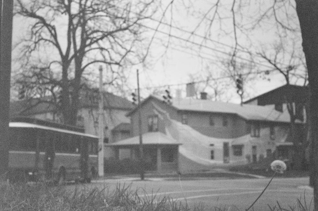 Wulo3's tweet image. 'Trolley. Banana. Dandelion.' Go shoot some cheap supermarket film! Can one still do that? #Argus #filmisnotdead