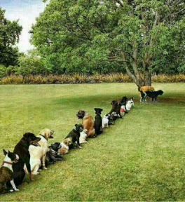 Gari_ne_Suga's tweet image. #TechRegistration be like....