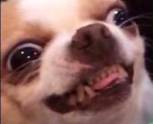 5sosomniac's tweet image. #LoopOff5SOS