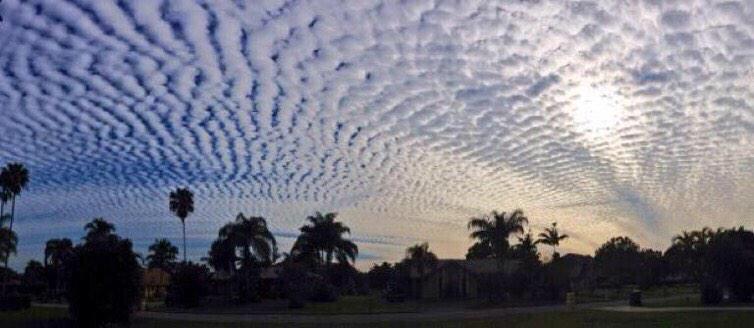 ChiIIVlbes's tweet photo. Nature at its finest 🌅 http://t.co/f79SF8oGkR