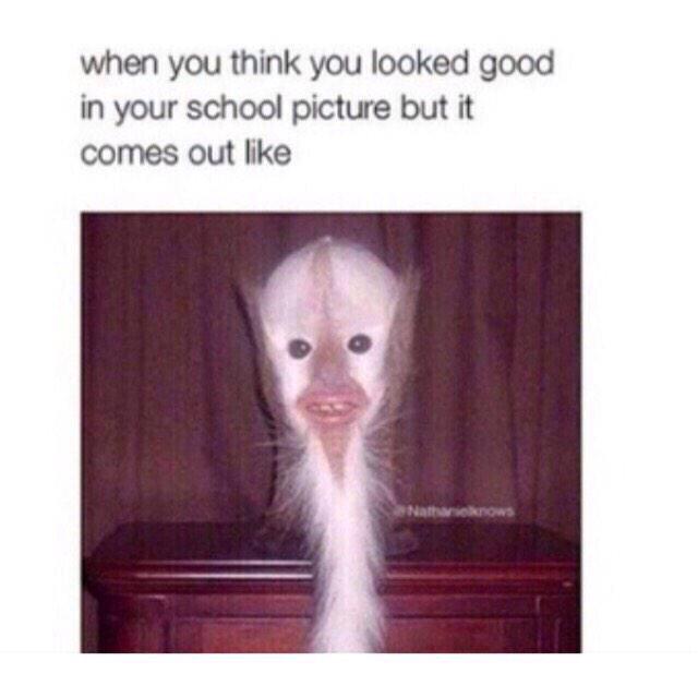 Carlpierre101's tweet image. Life 😂😂😂😂