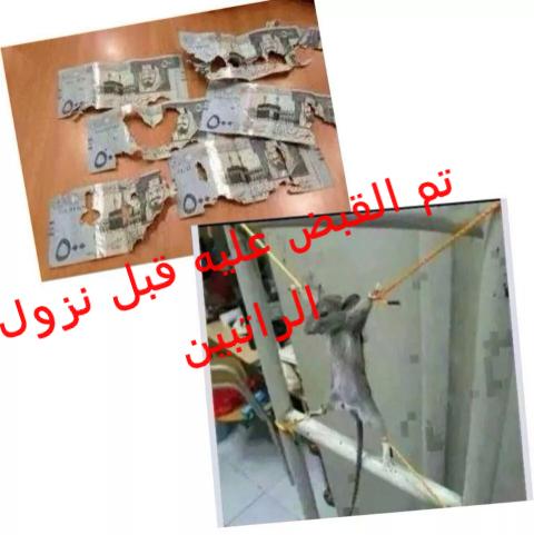 ShrMoo's tweet photo. test http://t.co/fB7bbANDNT