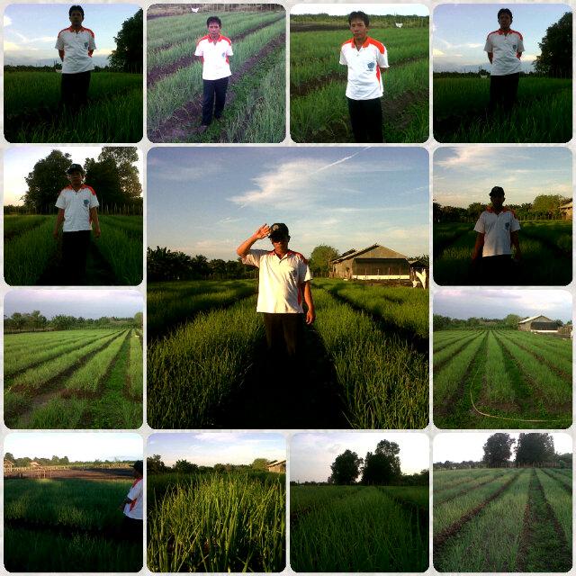 reflyrafi's tweet photo. http://t.co/MtyLszNMdo