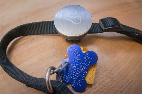 smmarie71's tweet photo. Dogs are getting wearable technology too. New collars track your pets' activity. http://t.co/3Akt72Qsv8 #PurinaEMP http://t.co/kWJA045OH3