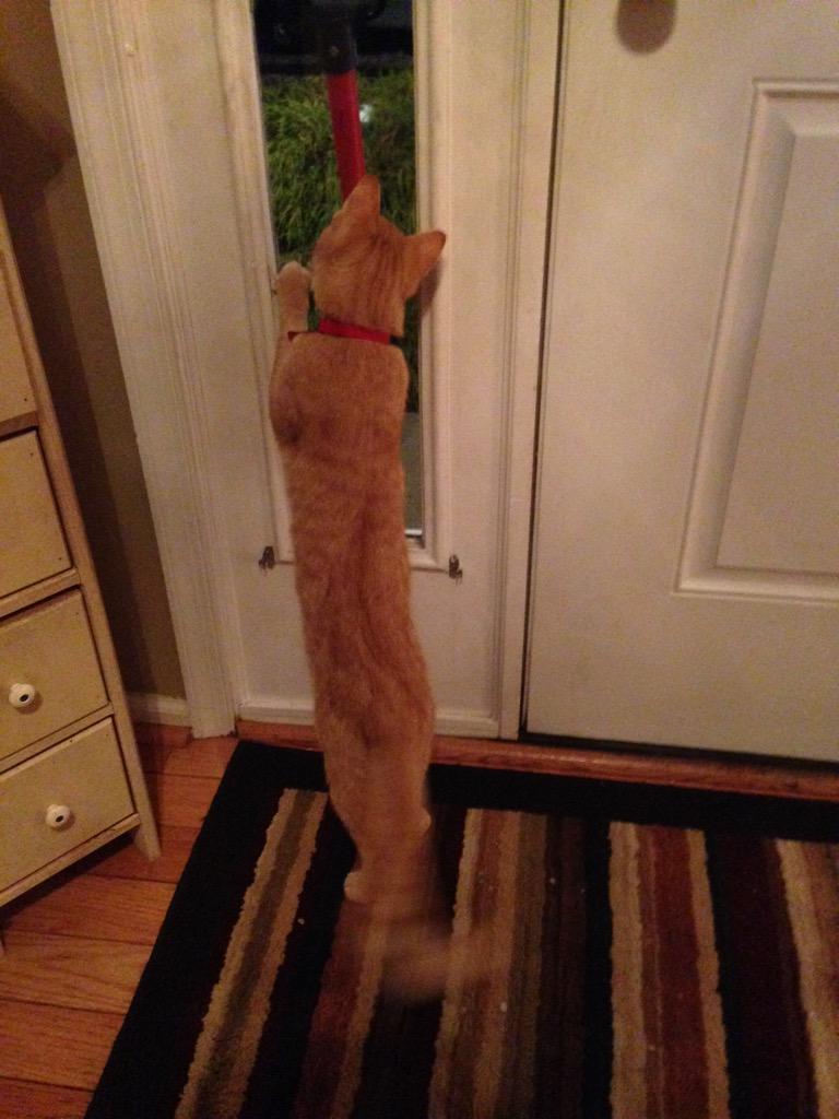 jack_jackie2's tweet photo. WAITEENG 4 JESSE 2 COME HOME SO SHE CAN KUDDLE WID ME!!!!!!!!! WHER U AT JES cC http://t.co/PdQYZ7ShJN