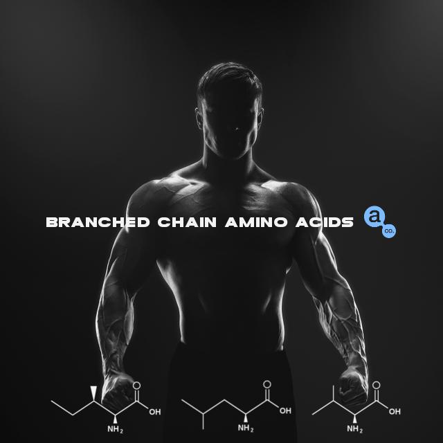 AminoCoSuppsau's tweet photo. BCAAs - 6 Game Changing Benefits.
Read full article here: http://t.co/TFnRaDIgIA
#gym #gains #bodybuilding #aminoco http://t.co/eTdXHwyVJi