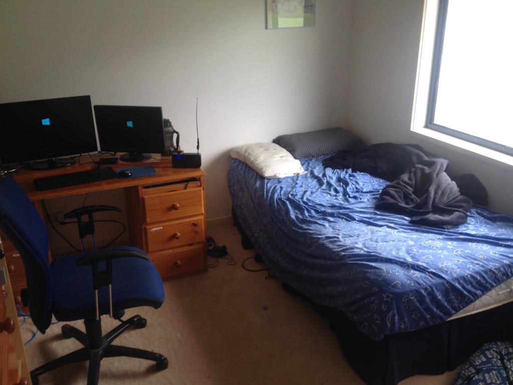 merlotruby1's tweet image. Squirrel office I think you will like it