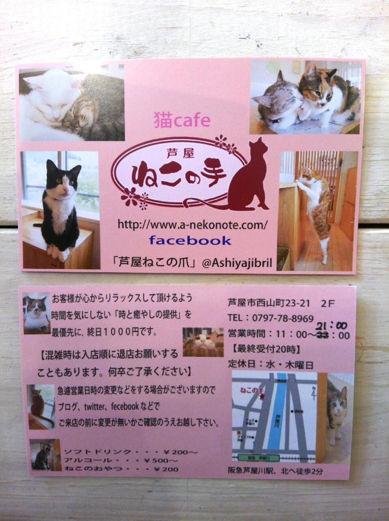 芦屋 ねこの爪 Asiyajibril Twitter