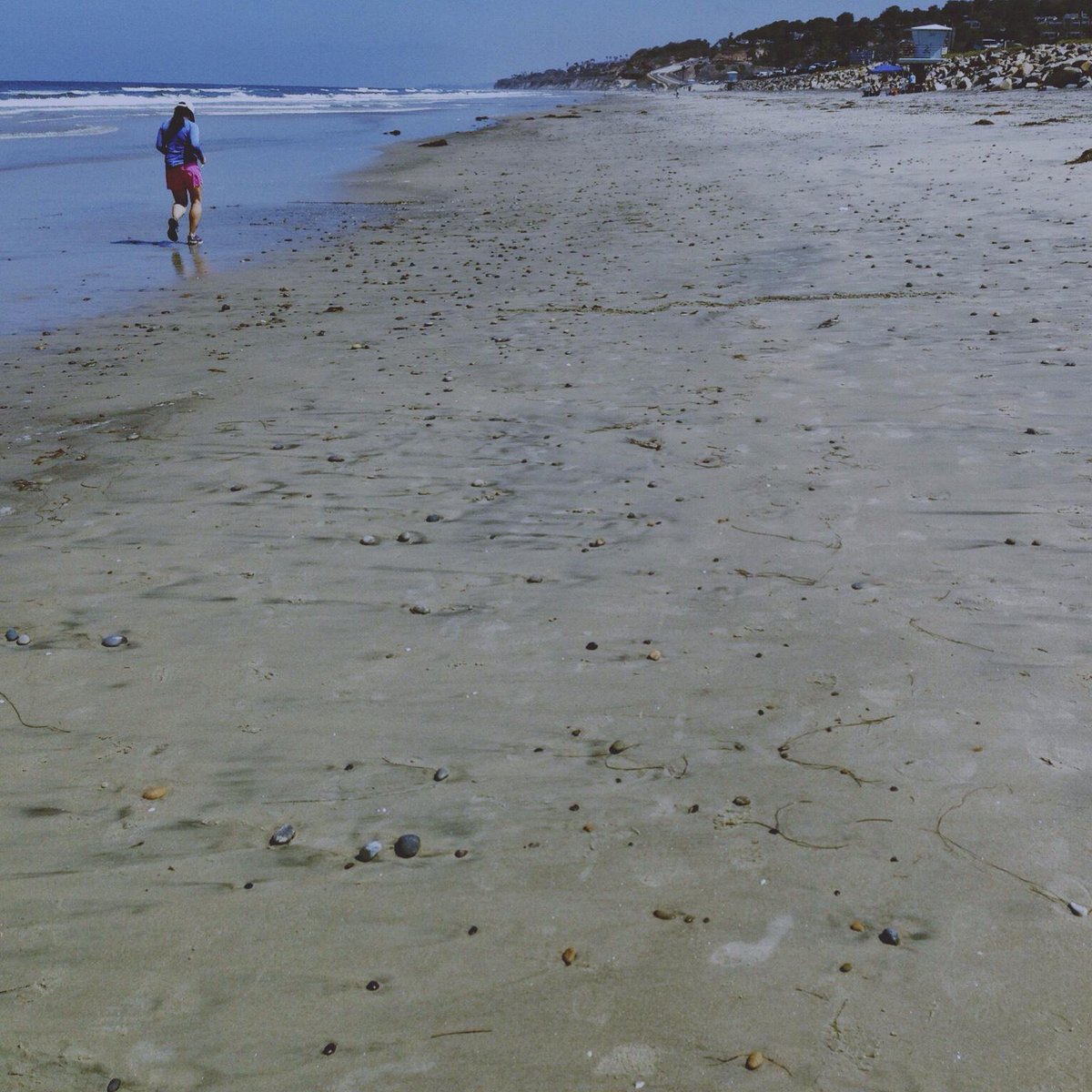 LightBoxr tweet media