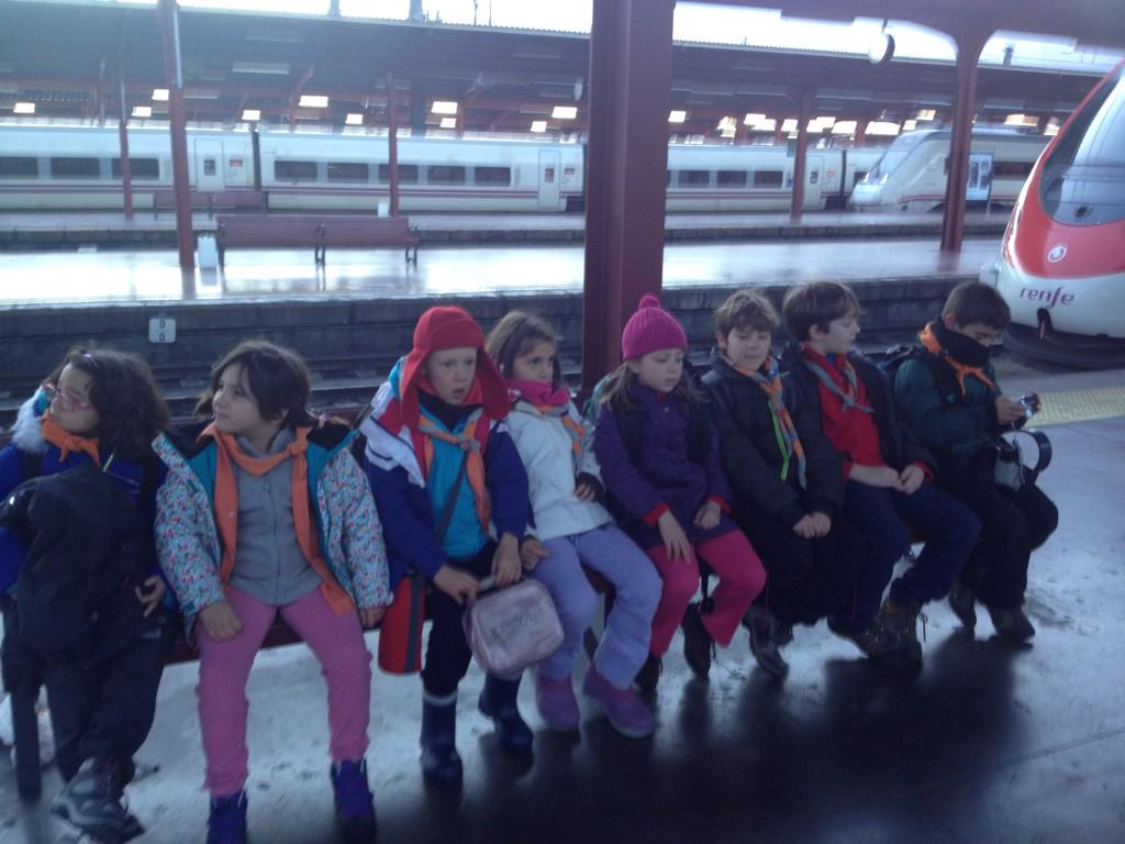 ¡A la nieve! ¡Castores y Lobatos!