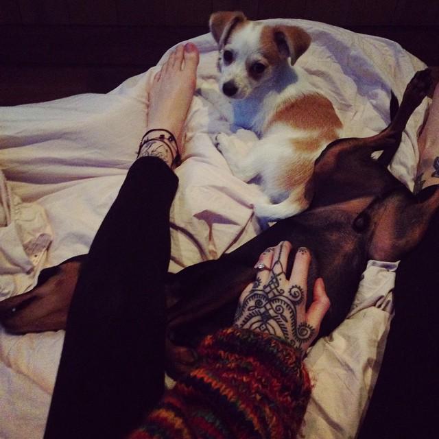 I adopted a new baby! He is so cute, beautiful, sweet and I love him so much that I dont know what to write! *.*