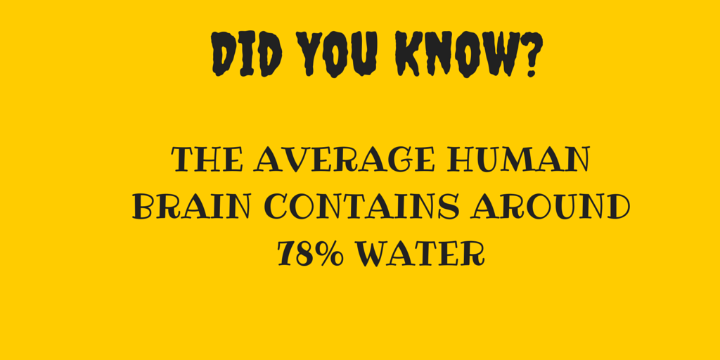 #DidYouKnow #FactTrivia
