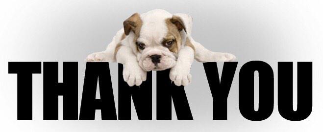 scottbarnbrook's tweet photo. @IrvineWelsh I'm fundraising for a dogs home and would appreciate a retweet http://t.co/bflMWBMcRv please http://t.co/nuWn1EM8rc