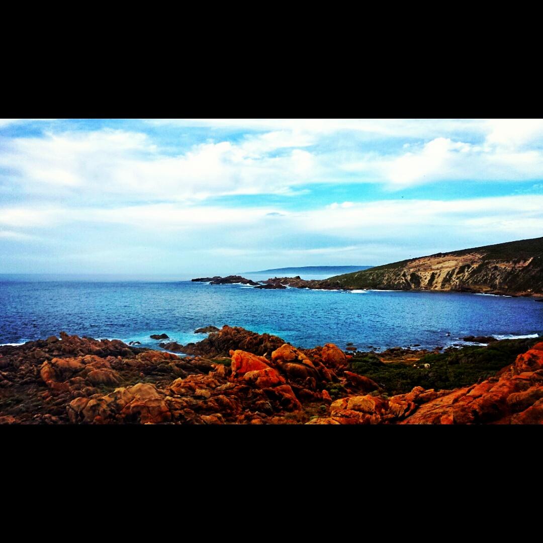 Ronnie T tweet media