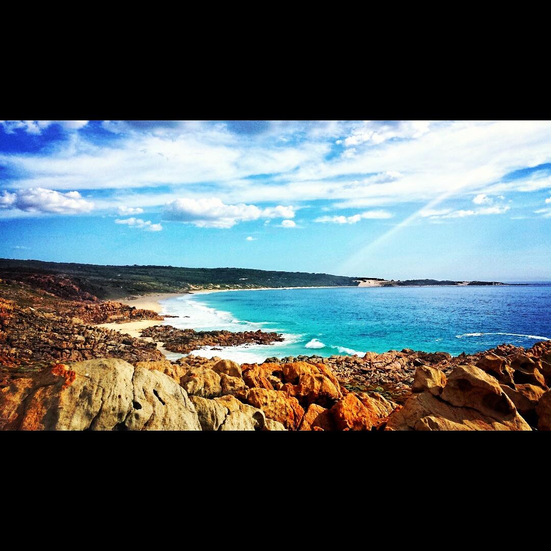 Ronnie T tweet media