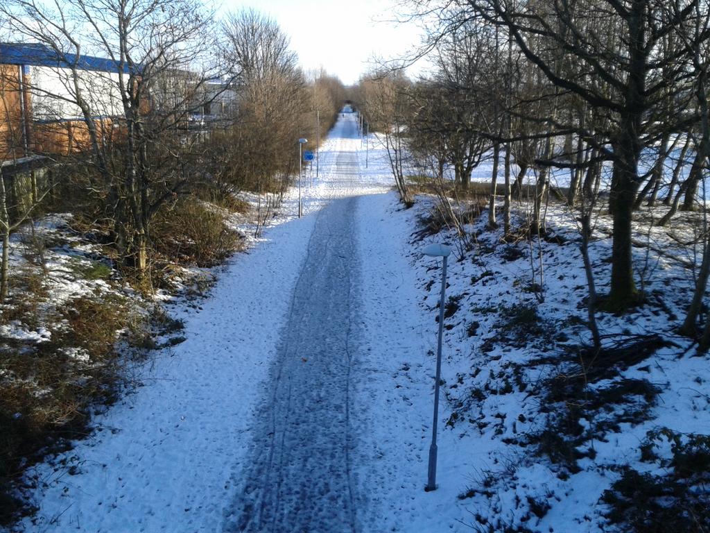 Maxwelltown path in snow