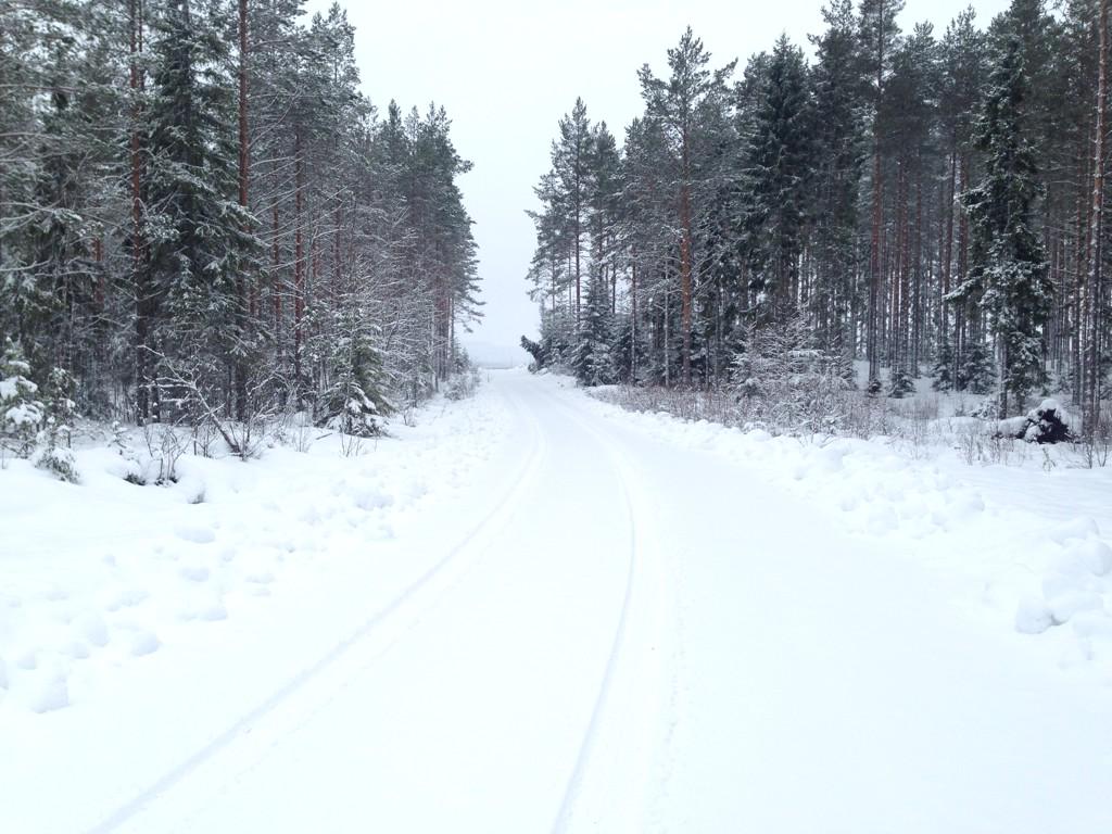 WRC: Rallye Sweden [12-15 Febrero] B8rKfMbCAAEb9BI