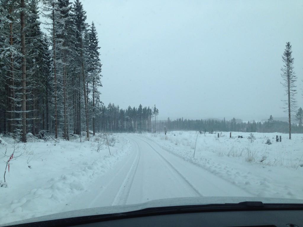 WRC: Rallye Sweden [12-15 Febrero] B8rKfMvCYAErSH_