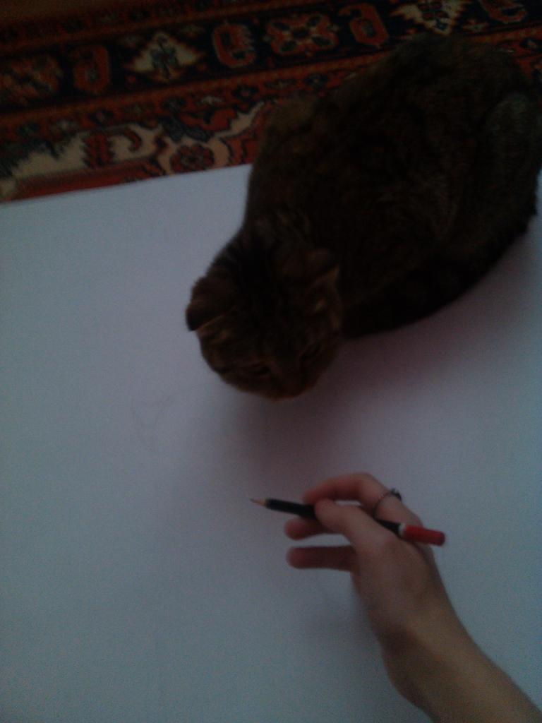 geksly's tweet photo. Лол) рисовали стенгазету вместе с кошкой) http://t.co/iWoc95Y1ex