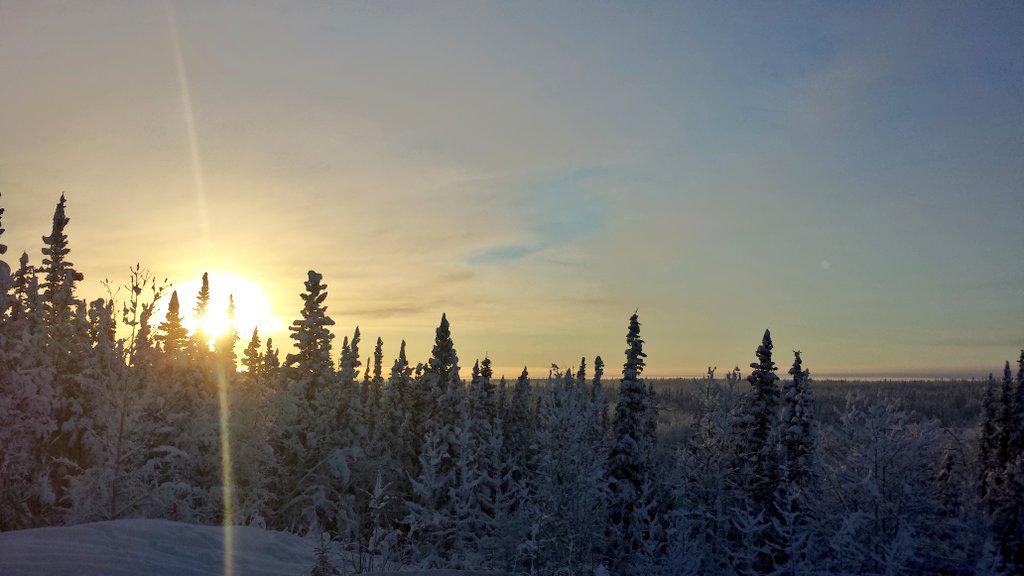 Wild Alaska tweet media