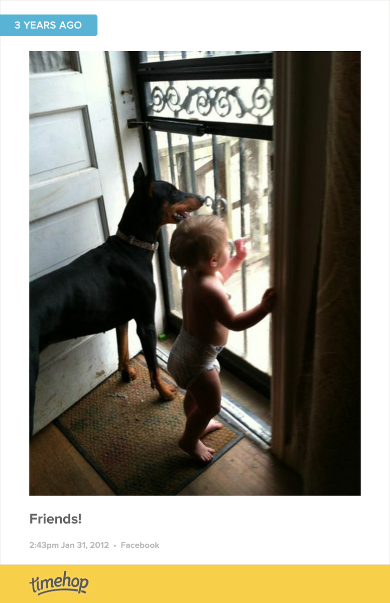 KatWil's tweet photo. Yep she is a vicious dog! lol
Well, not to those she knows at least but if you're a stranger you better watch out... http://t.co/TADKDv23fT