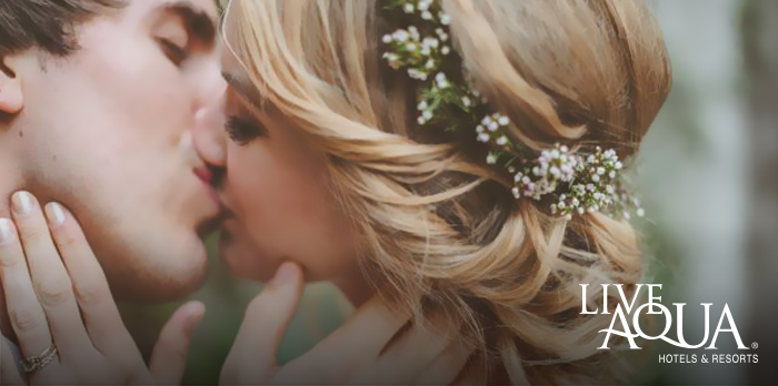 Live Aqua tweet media