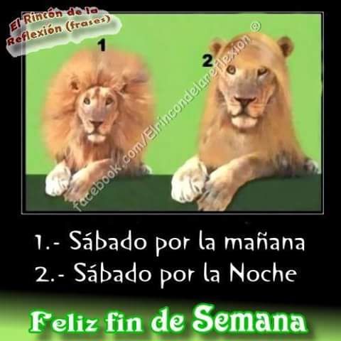 monrock29's tweet image. Habemos varias