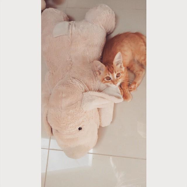 Adorable. 😊 #betterpetowners