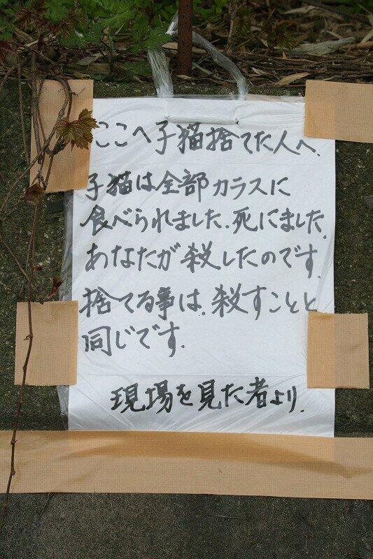 JJceeeeeez's tweet photo. 春は子犬子猫がたくさん産まれる季節です。目も開かぬうちに殺される命が絶え間なく続きます。

【飼い主さんへ】
https://t.co/mJe62hUH8L

【犬や猫を飼う予定の方へ】
https://t.co/GGq8JIHI9u http://t.co/9K0pMIWgZo