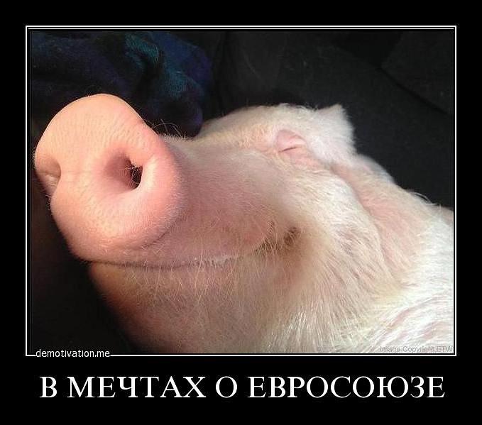 <a href="/w892271/">Вилли Шпили</a> <a href="/ukrfootball/">Бандеровский футбол</a> он не в жопе