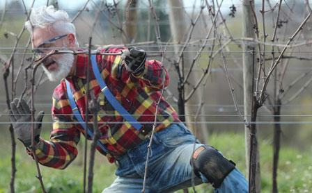 RaiDue's tweet photo. I SIGNORI DEL VINO h 23.45 prima puntata #SignoriDelVino format tv dedicato al mondo enologico italiano @RaiTv http://t.co/HM7o3jWWWM