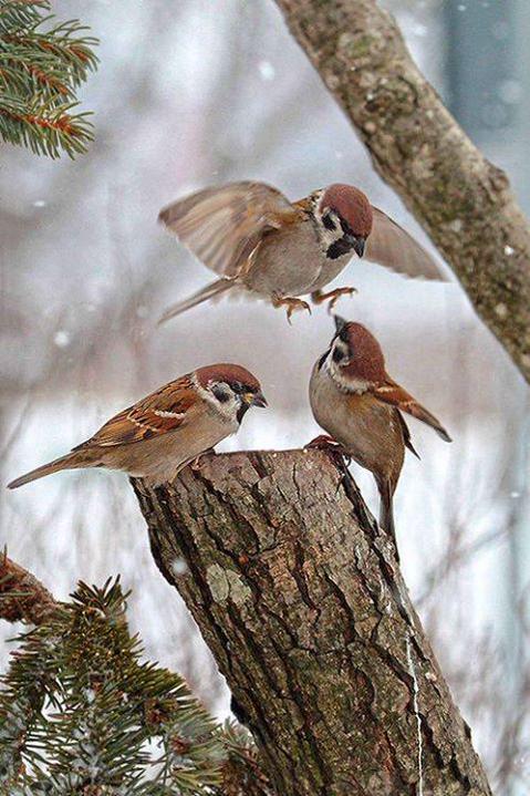 _salomo's tweet photo. http://t.co/5TfsUBcyak