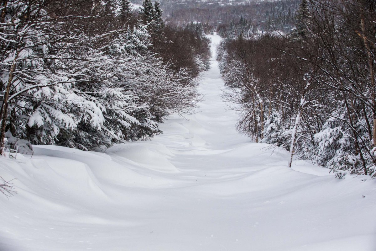 SugarloafMaine's tweet photo. Drooling over drifts on Misery Whip. #theloaf #powderplayground #snowdrift http://t.co/ezldDHYTqh