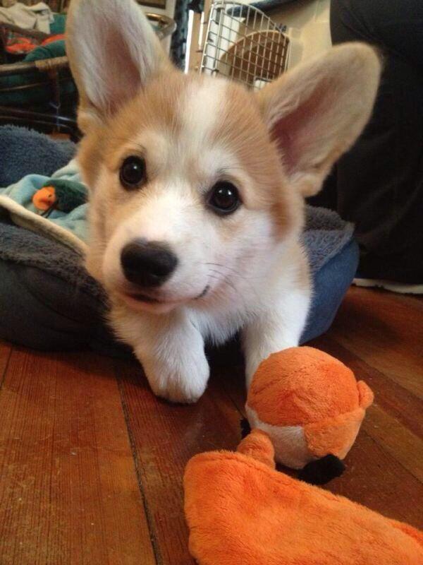 ARandomPicture's tweet image. 