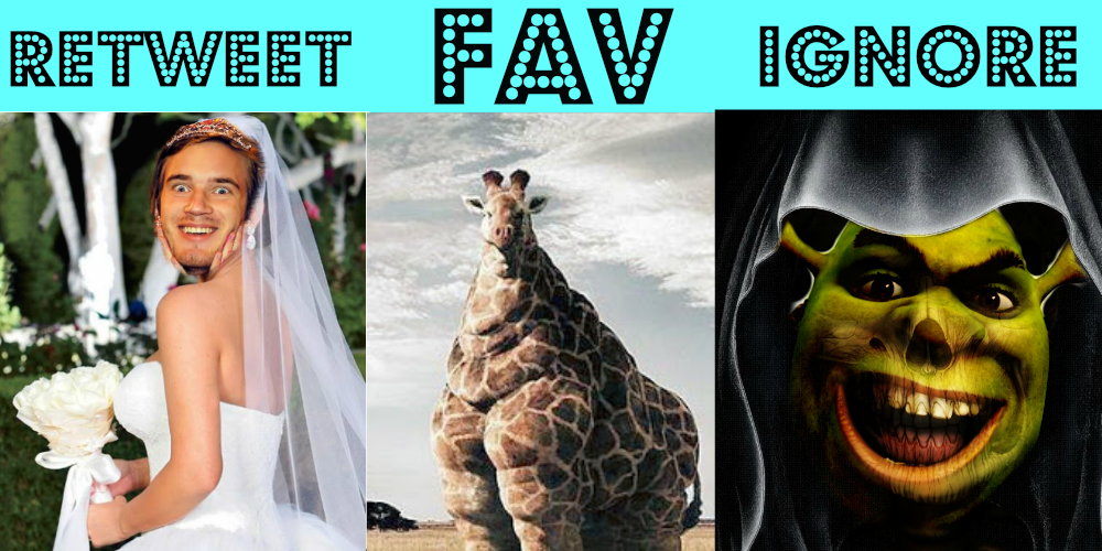 reelfalconlover tweet picture