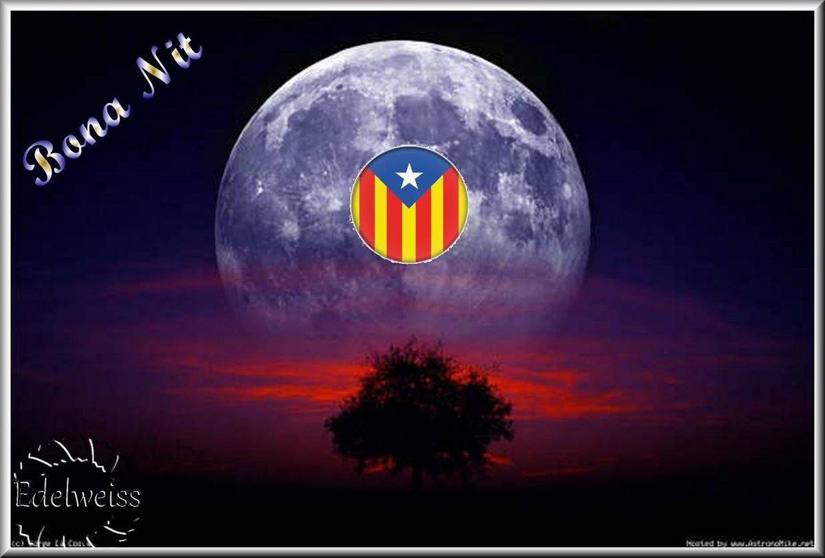 PCOLUMBRI's tweet photo. @zamuel_robinson Gracias por seguir sigo de vuelta SALUDOS CORDIALES DE BARCELONA, VIVA LA PATRIA GRANDE BOLIVARIANA http://t.co/Bp2VrHRFwx