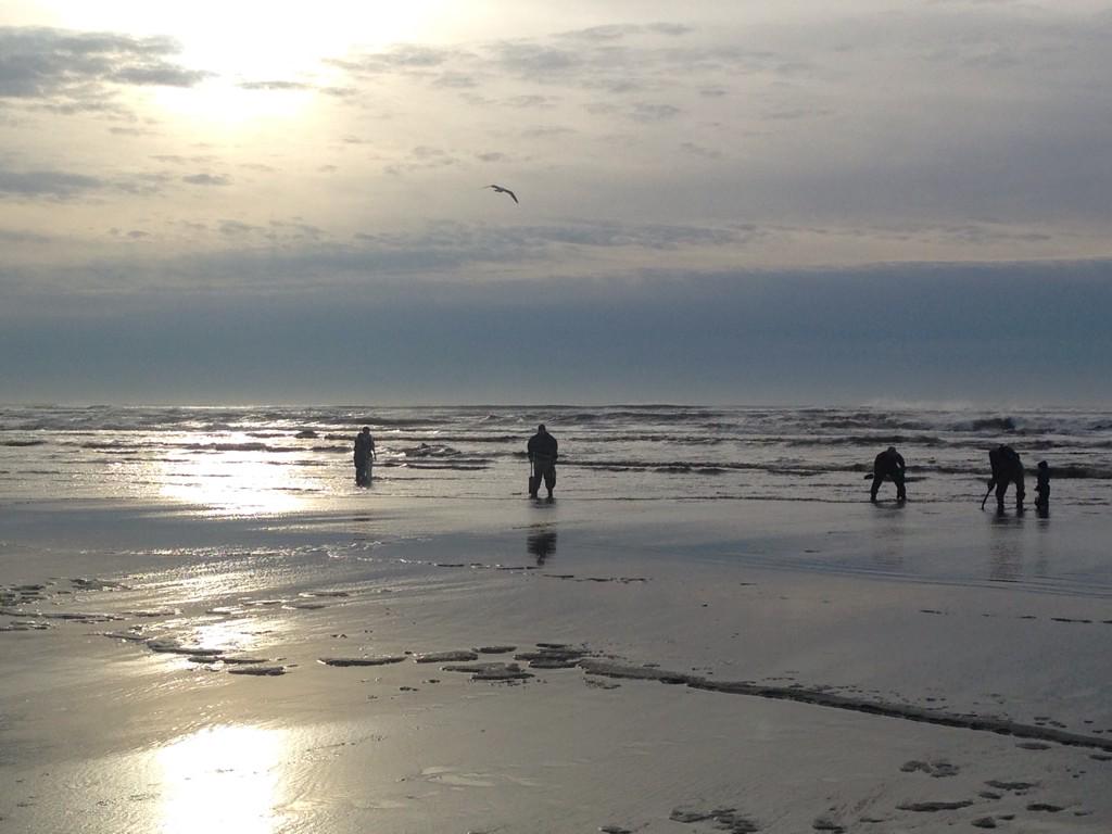 robephil's tweet image. Should've brought my wading boots to Washington... #CLAMS