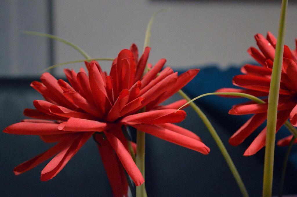 Rosalbatch's tweet image. my edit! PM me if want to buy