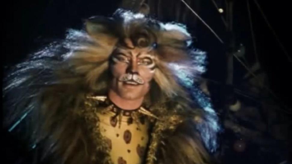 _jelliclecats's tweet photo. #catsthemusical #jelliclecats #Demeter #RumTumTugger #Mungojerrie #Munkustrap #Tantomile #Rumpleteazer #Electra http://t.co/D69SX1wouB