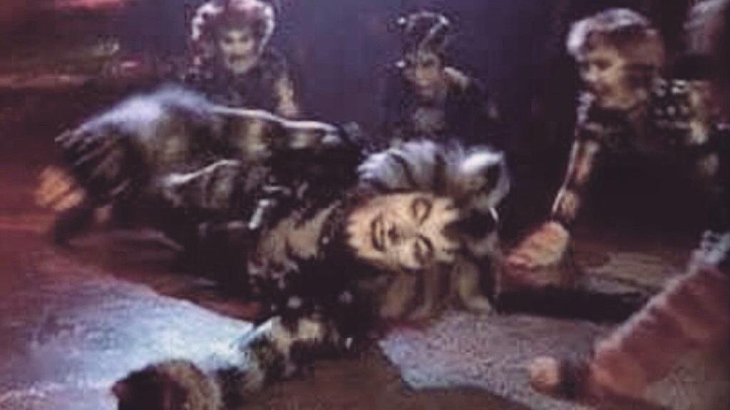 _jelliclecats's tweet photo. #catsthemusical #jelliclecats #Demeter #RumTumTugger #Mungojerrie #Munkustrap #Tantomile #Rumpleteazer #Electra http://t.co/D69SX1wouB