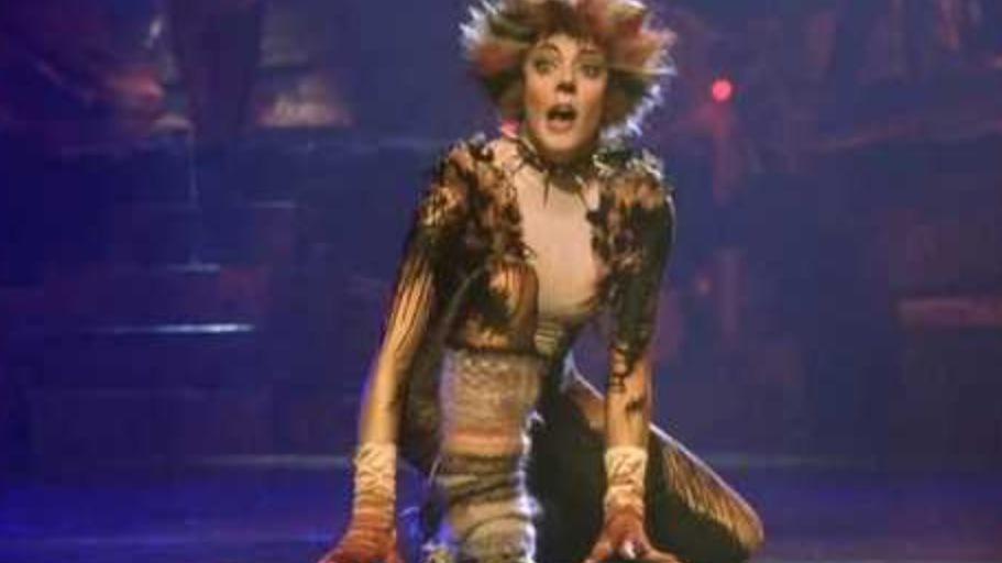 _jelliclecats's tweet photo. #catsthemusical #jelliclecats #Demeter #RumTumTugger #Mungojerrie #Munkustrap #Tantomile #Rumpleteazer #Electra http://t.co/D69SX1wouB