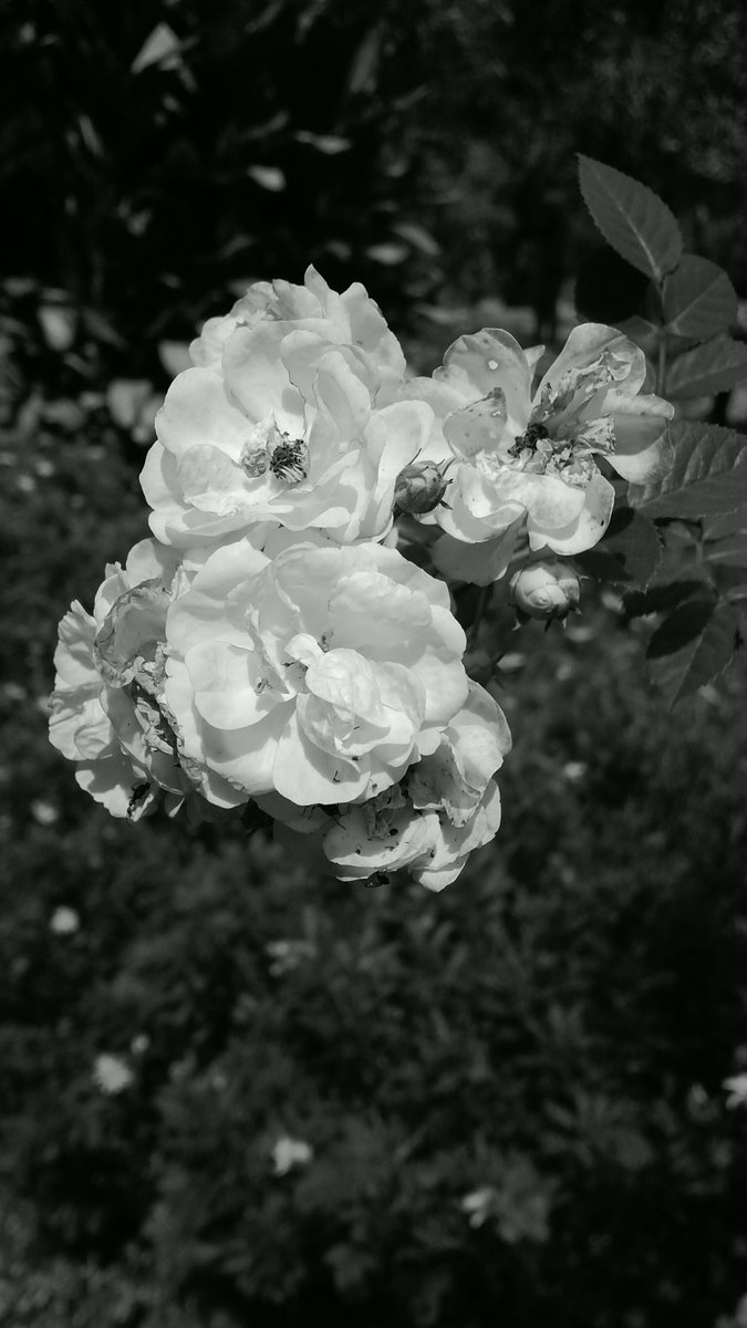 mydecemberstar's tweet image. A Blessed Sunday!! #FirstOfFebruary #Baguio #enjoyeverydayhappiness #blessed #grateful :)